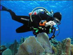 Scuba Diving Apparatus
