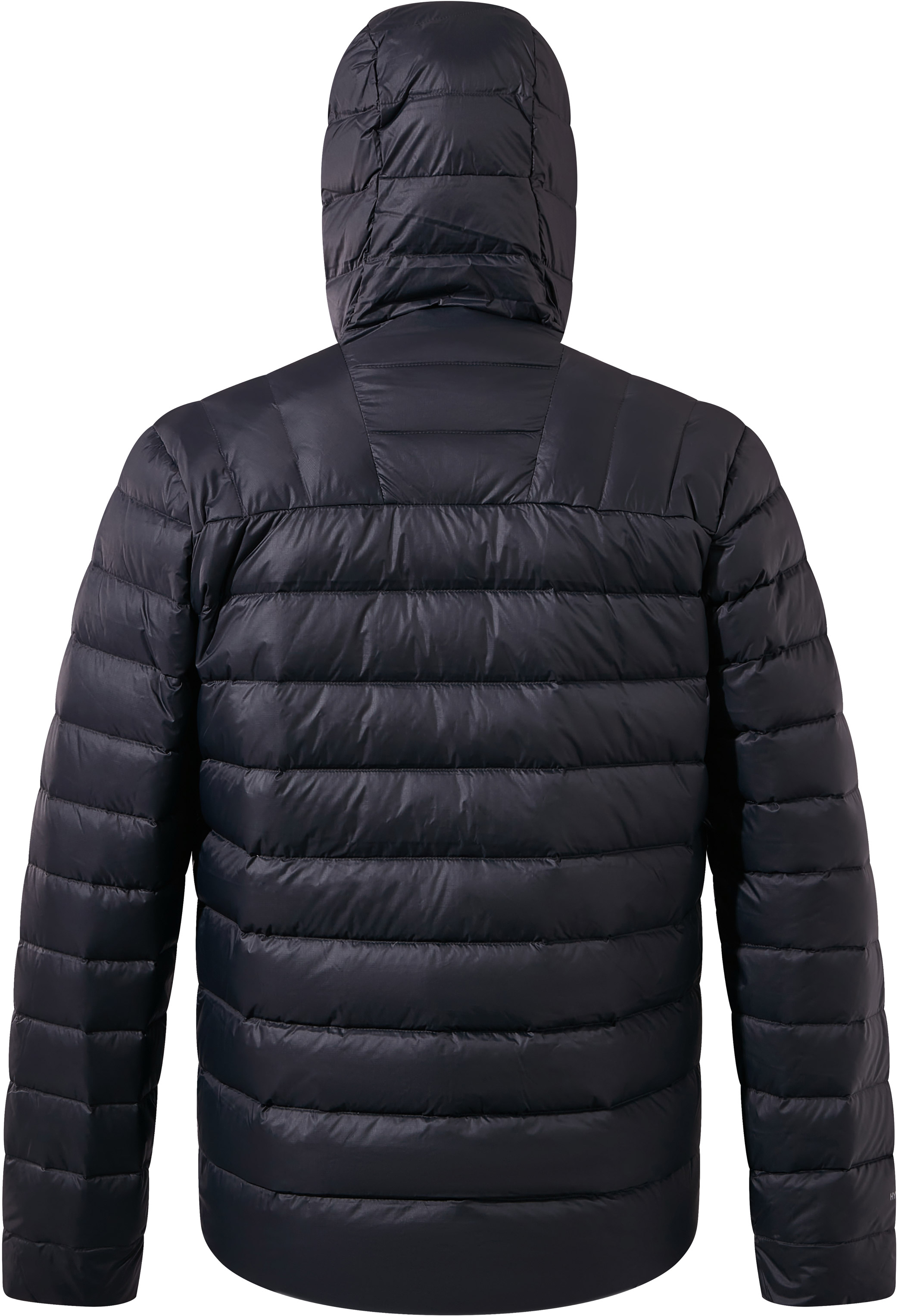 Men's verismo hooded down jacket best sale