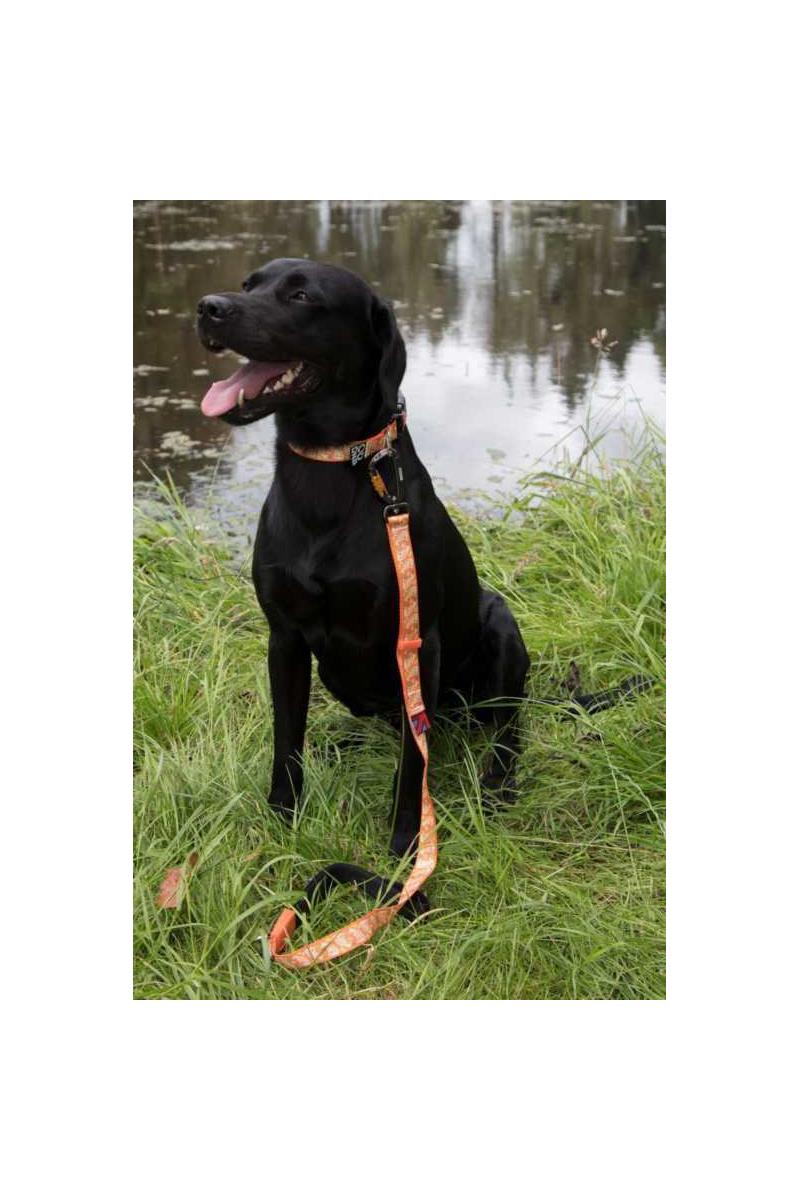 DNA Dogwear Summit Dog Lead-2