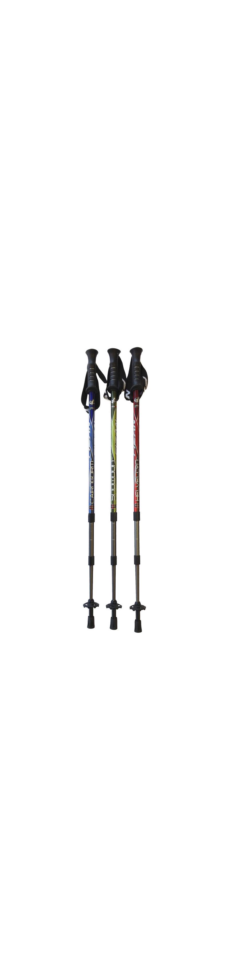 Fizan Trek Walking Poles-5