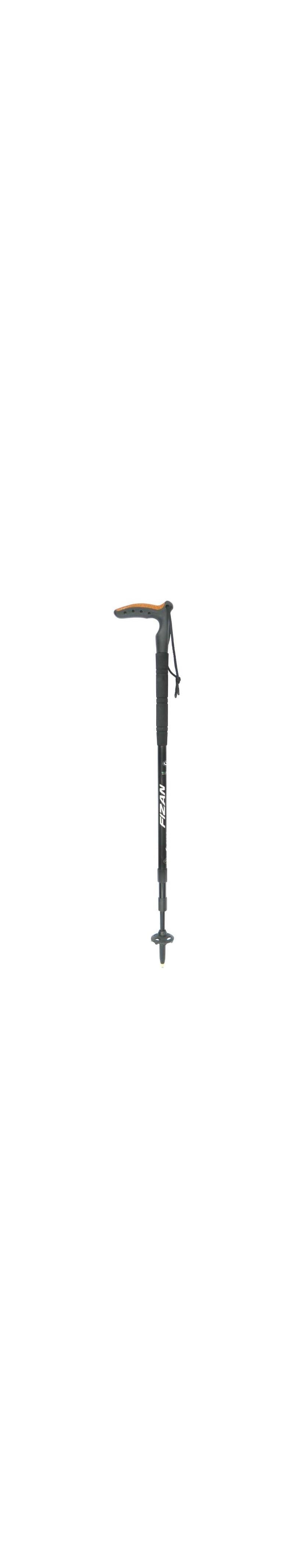 Fizan Classic Trekking Pole-2