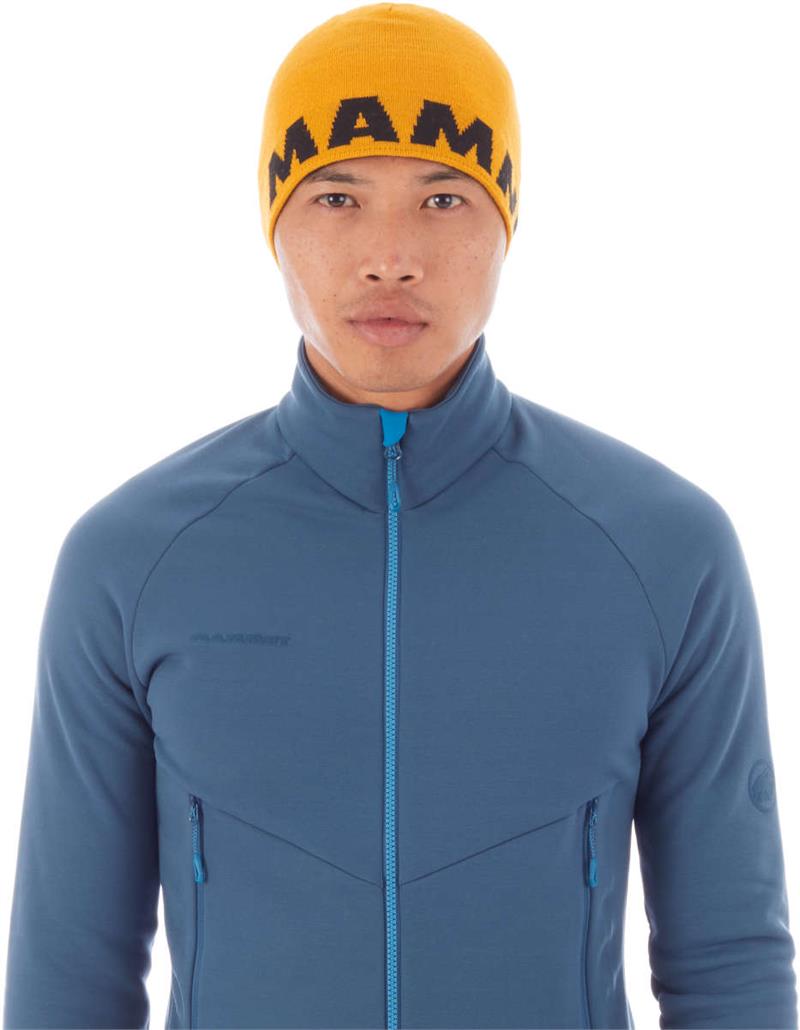 Mammut Logo Beanie Hat-3