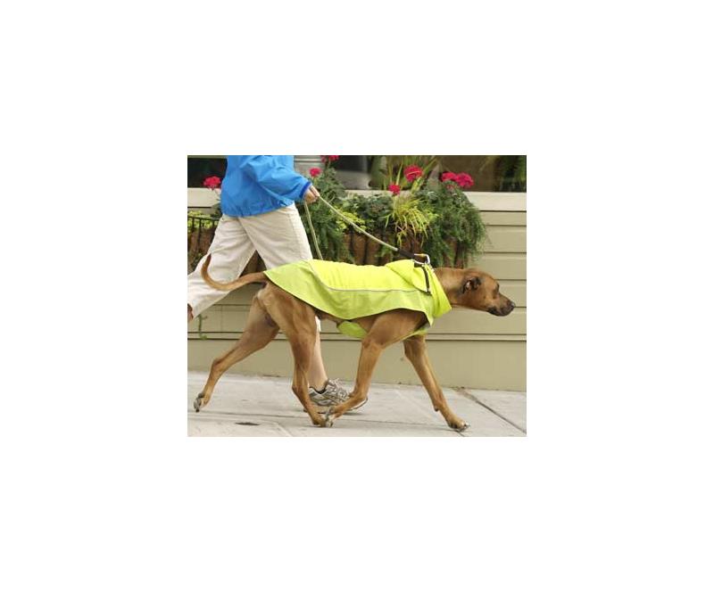 Ruffwear Sun Shower Waterproof Jacket-2