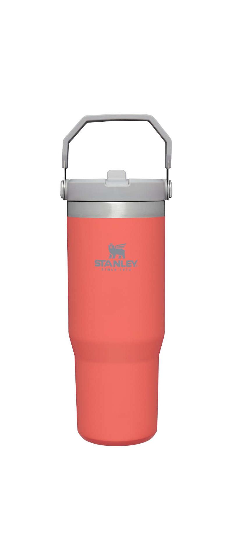 Stanley IceFlow Flip Straw 0.89L Tumbler-5