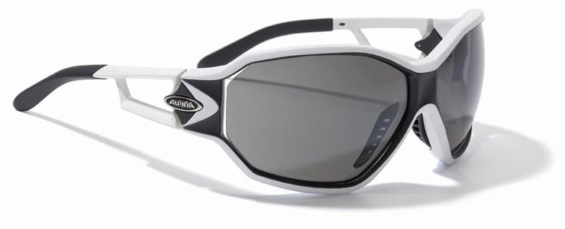 Alpina Swing Fashion Sunglasses-1