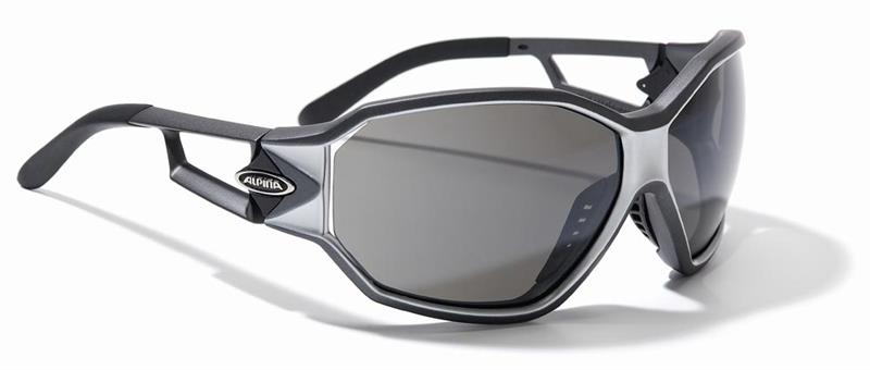 Alpina Swing Fashion Sunglasses-3