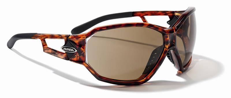 Alpina Swing Fashion Sunglasses-4