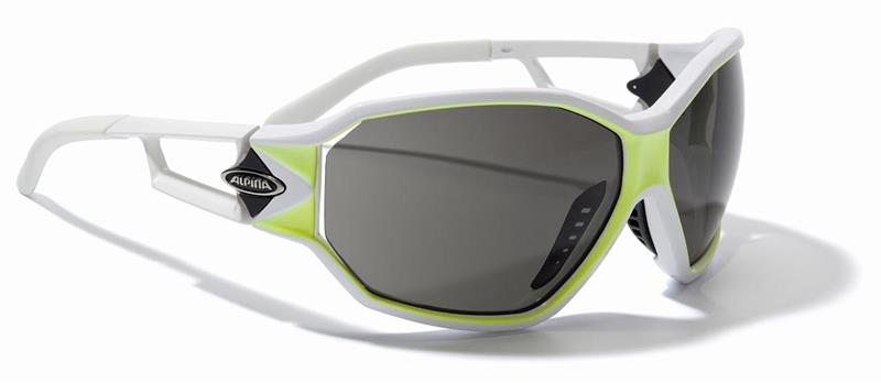 Alpina Swing Fashion Sunglasses-5