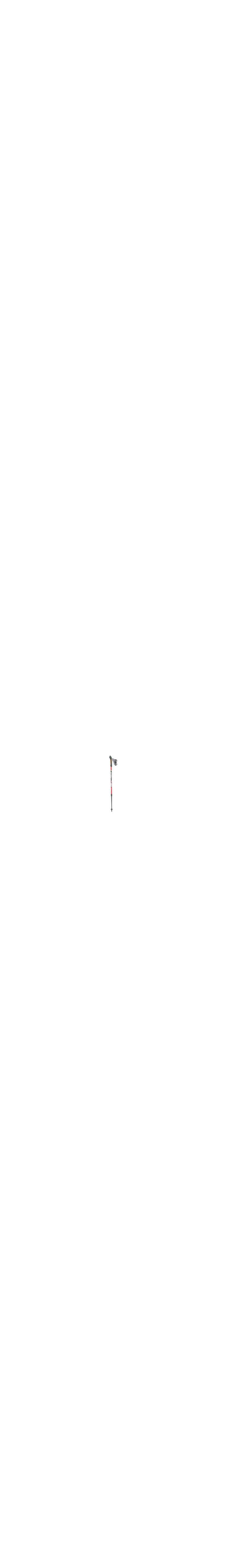 Fizan NW Speed Nordic Walking Pole-5