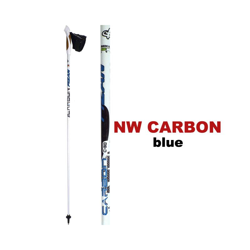 Fizan NW Carbon Nordic Walking Pole-1