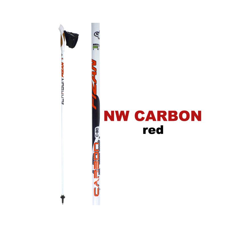 Fizan NW Carbon Nordic Walking Pole-3