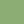 Colour : Piquant Green