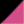 Colour : Pink/Black