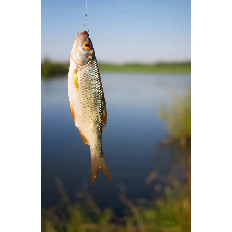 Poachers Pocket Fishing Rod-4