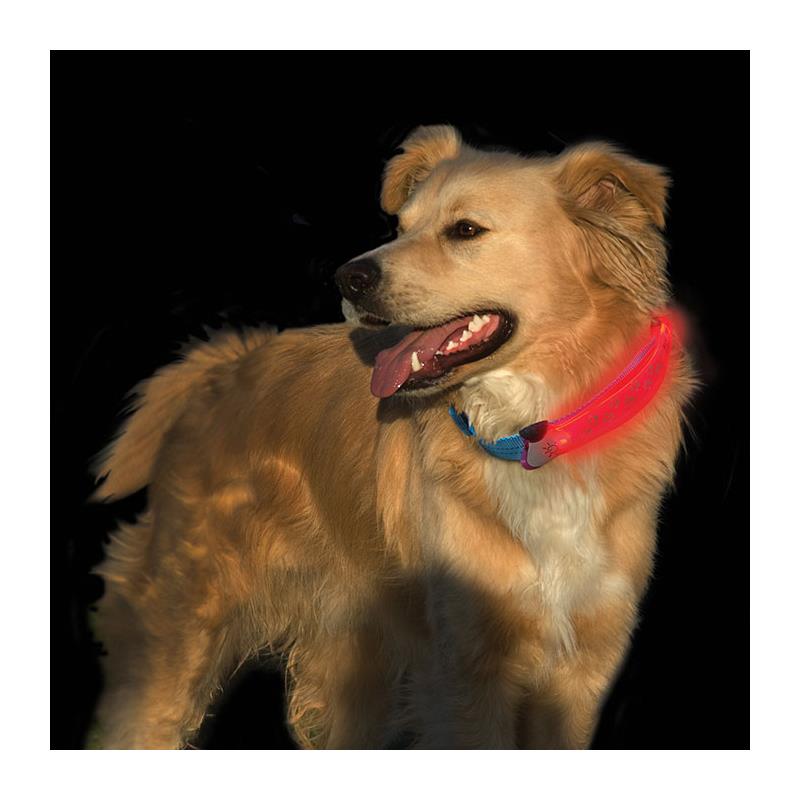 Nite Ize Dawg LED Dog Collar Cover-4