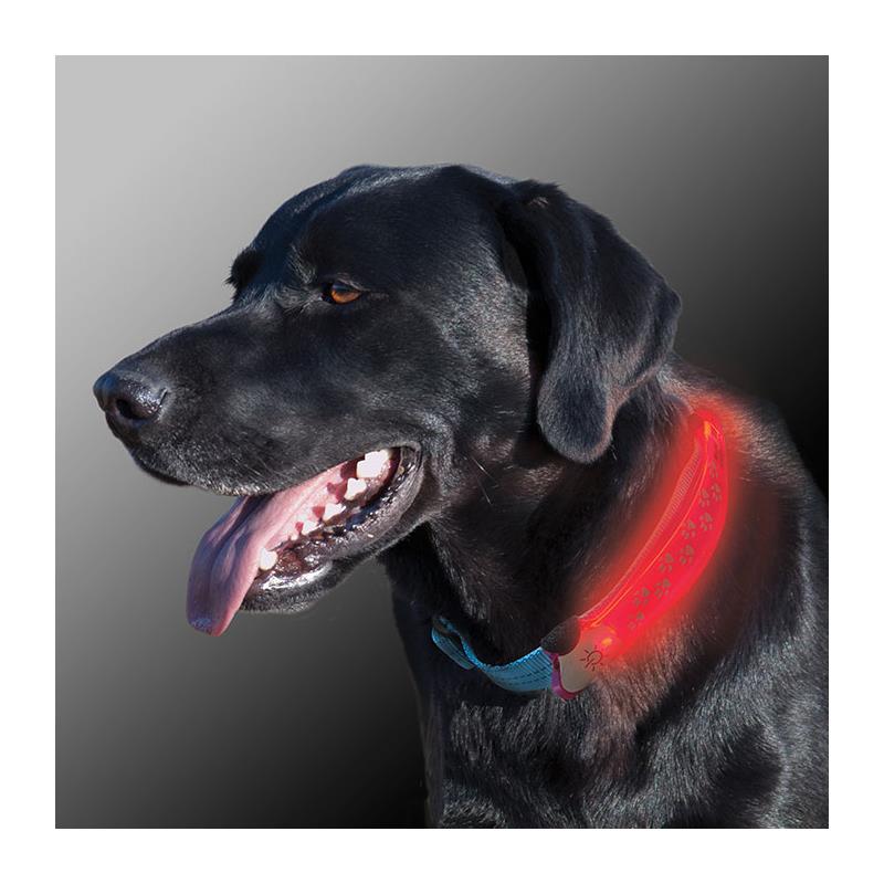 Nite Ize Dawg LED Dog Collar Cover-5