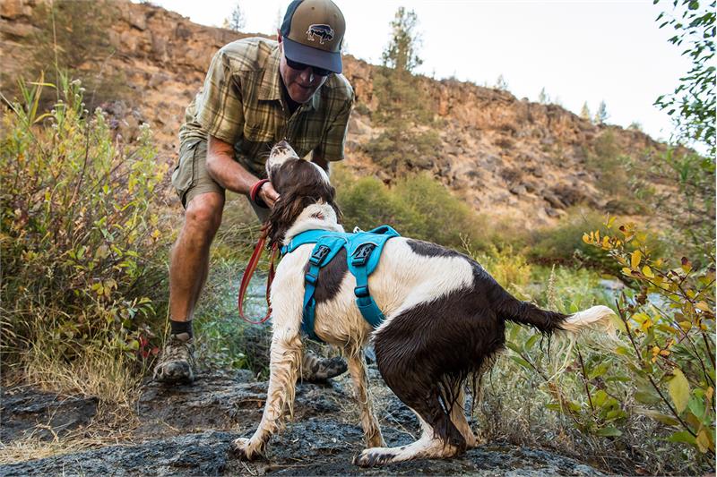 Ruffwear Web Master Dog Harness-3