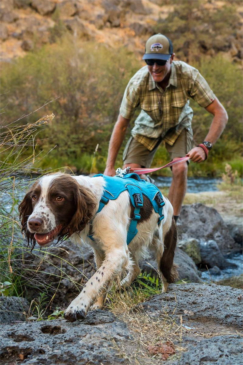 Ruffwear Web Master Dog Harness-4