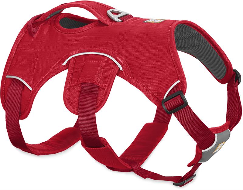 Ruffwear Web Master Dog Harness-5