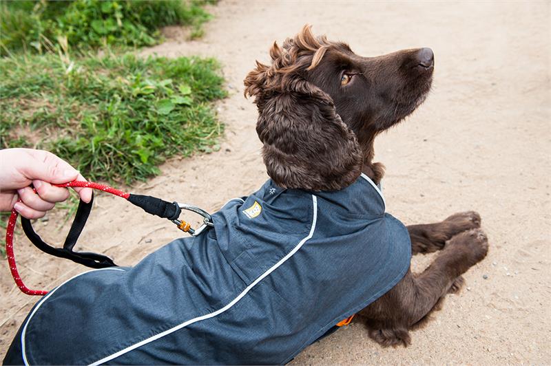 Ruffwear Aira Rain Jacket-5