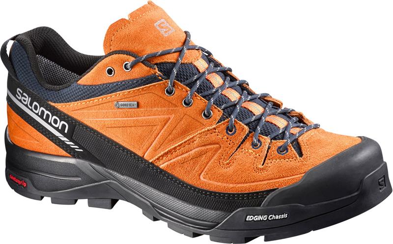 Salomon X Alp LTR GTX Mens Mountaineering Shoes-2